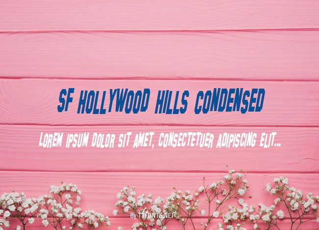 SF Hollywood Hills Condensed example